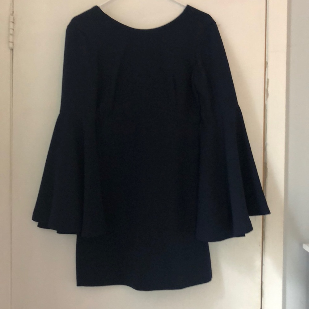 Zara Mini Dress with Bell Sleeve